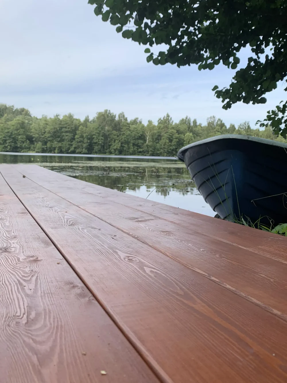 ДОМИК У ОЗЕРА